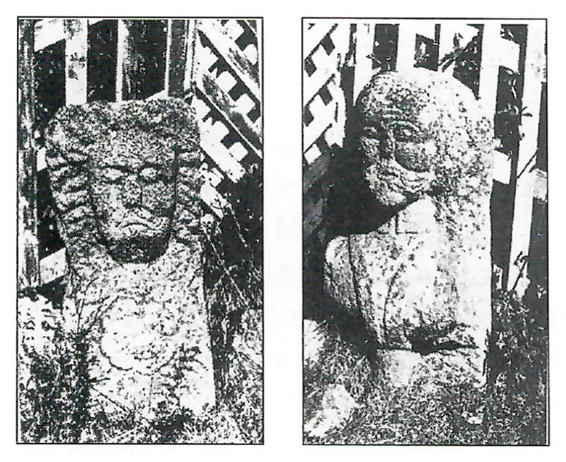 Description: Stone heads found at Omeath Park. Source: Omeath - A look at the past - Volume 3